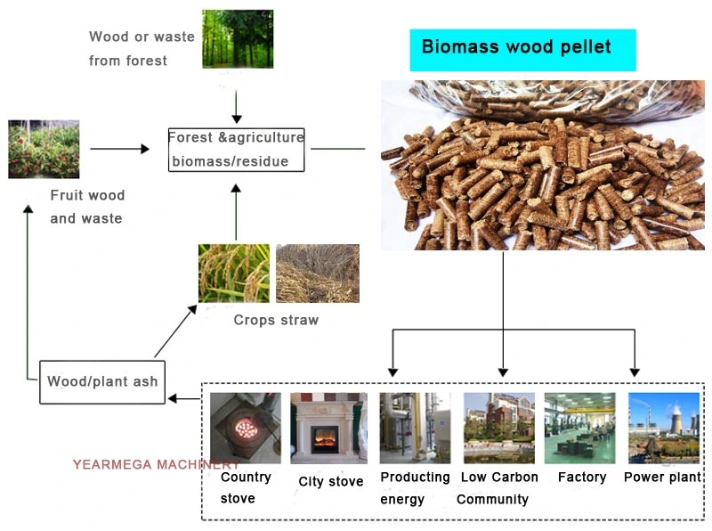 Automatic Biomass Wood Pellet Processing Plant Capacity 300 Kg/Hour